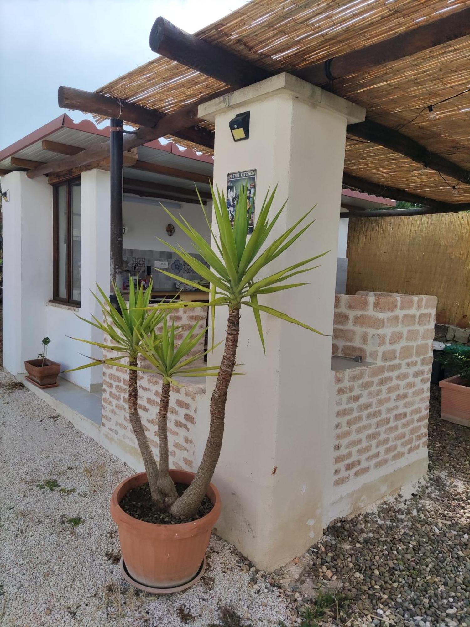 Villa Giulia B&B Castellana Grotte Dış mekan fotoğraf