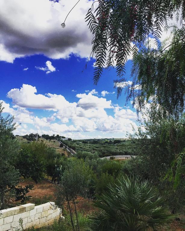 Villa Giulia B&B Castellana Grotte Dış mekan fotoğraf