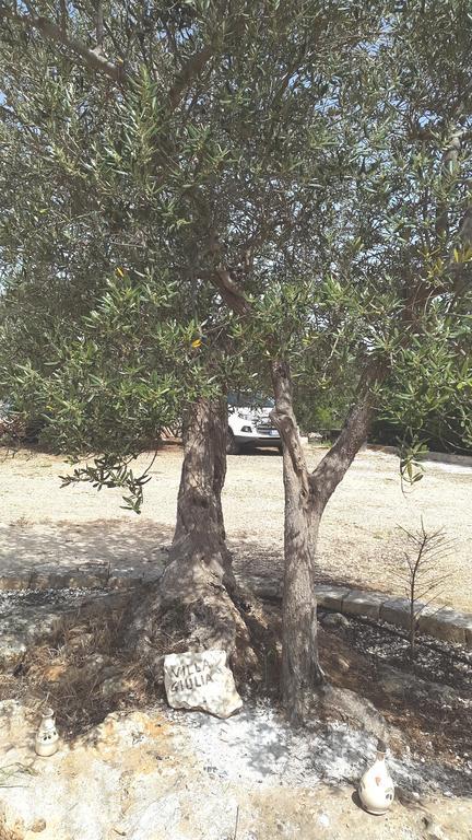 Villa Giulia B&B Castellana Grotte Dış mekan fotoğraf